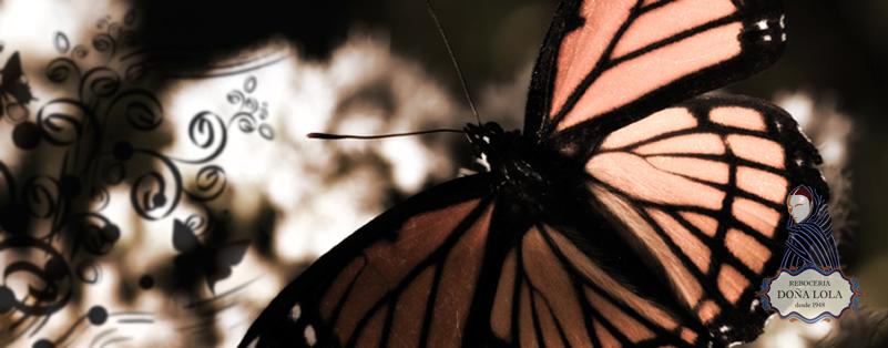 Mariposa Monarca